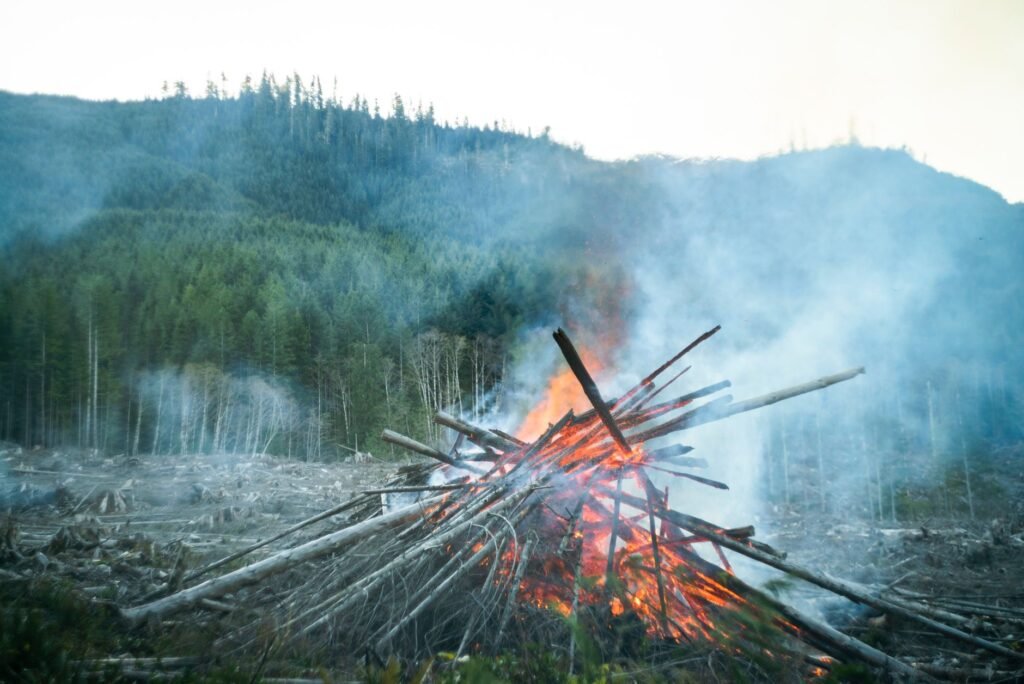 Canadian Wildfire Evacuees Outraged Over Lacking Support and Communication