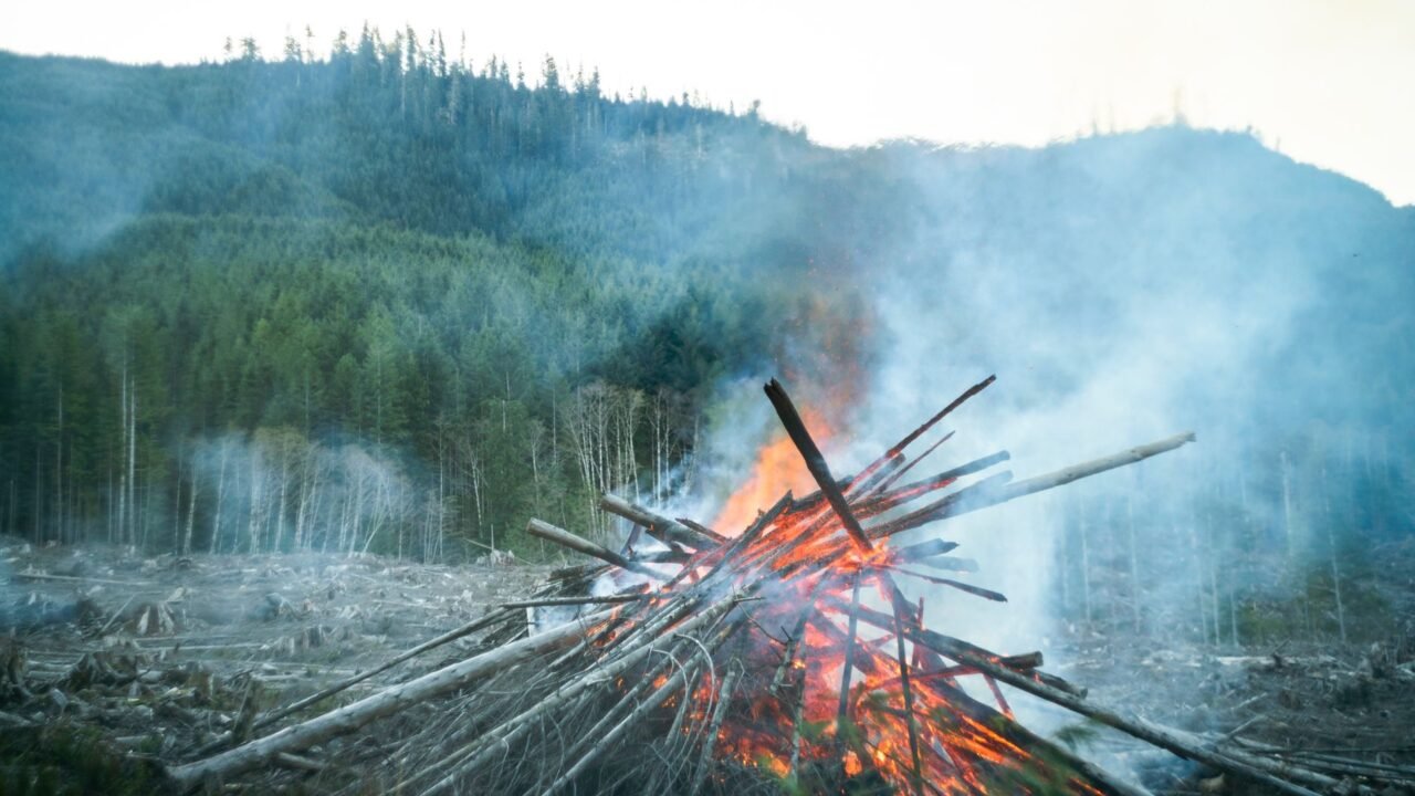 Ontario Wildfire Evacuees Decry Lack of Support and Official Communication