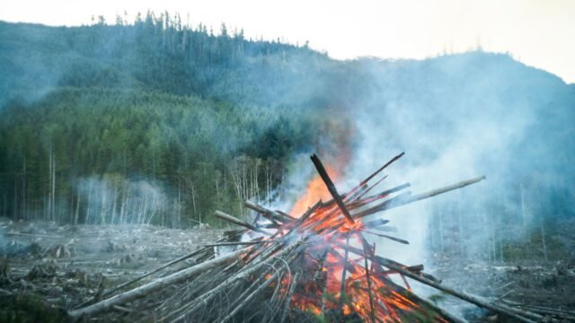 Canadian Wildfire Evacuees Outraged Over Lacking Support and Communication