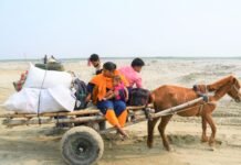 India-Bangladesh Border Tensions Escalate Over Immigrant Deportations Deportations by India Cause Tension Along Border with Bangladesh