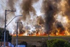 Evacuees of Ontario’s Wildfires Wait and Worry