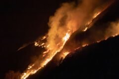 Faced With Heat and Wildfires, France Turns to Spain to Learn How to Cope