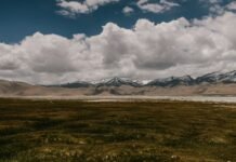 Ladakh Cultivates India’s Highest Commercial Lilium Farm at 3,265 Meters India’s highest commercial lilium farm takes root in Ladakh’s Choglamsar
