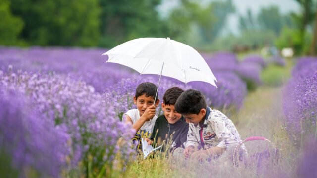 J&K to screen textbooks for ‘separatist’ content