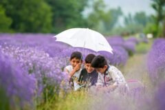 Kashmir schools reopen after 20 days