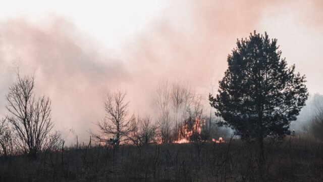 New Heat Wave Could Intensify Wildfires in France and Spain