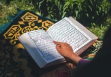 Srinagar Gears Up for Nine-Day Chinar Book Festival Featuring National Talent Nine-day Chinar Book Festival to begin in Srinagar from July 18