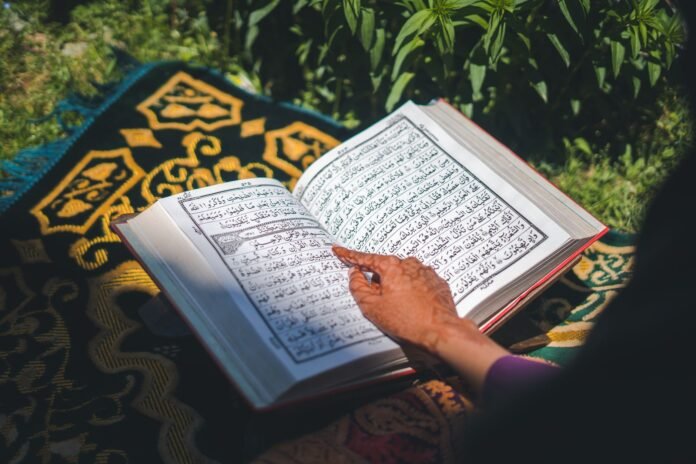 Nine-day Chinar Book Festival to begin in Srinagar from July 18 Nine-day Chinar Book Festival to begin in Srinagar from July 18