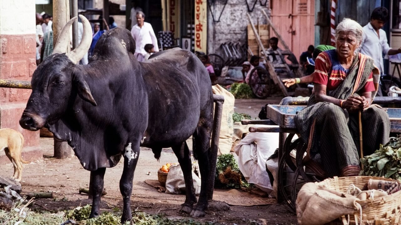Punjab Acts on J&K Livestock Trader Grievances After Ministerial Talks
