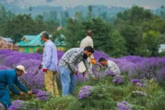 SKUAST-K launches farmer outreach programme to promote scientific farming
