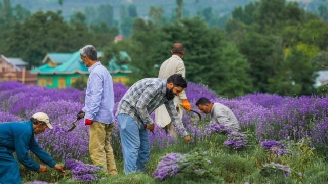 SKUAST-K launches farmer outreach programme to promote scientific farming