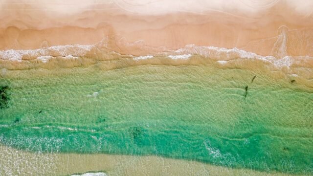 Spate of Shark Attacks Means More Drones for Australia’s Beaches