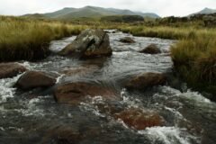 Sudden surge in stream sweeps away Jammu tourist near Manali