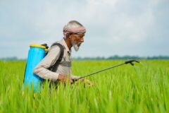 Tarigami seeks crackdown on substandard pesticides in Kashmir