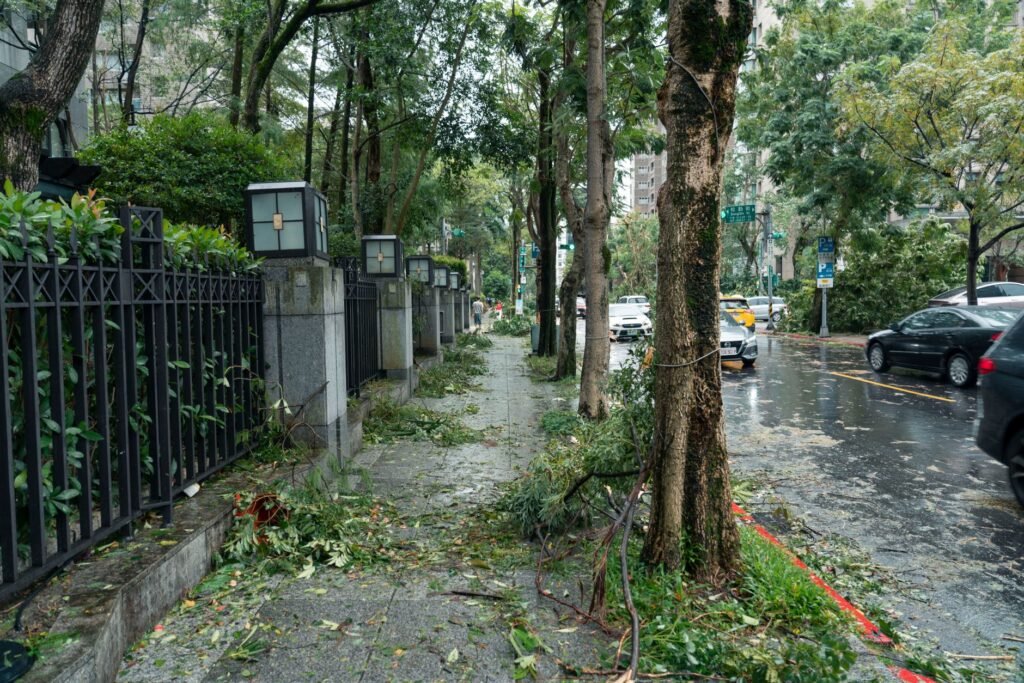 Typhoon Bavi Hits China, Causing Evacuations, Floods and Flight Delays