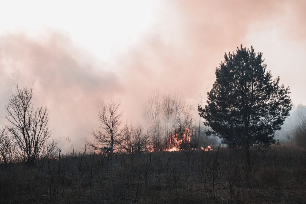 Was Your Trip to Europe Affected by Heat or Wildfires? Tell Us About It.