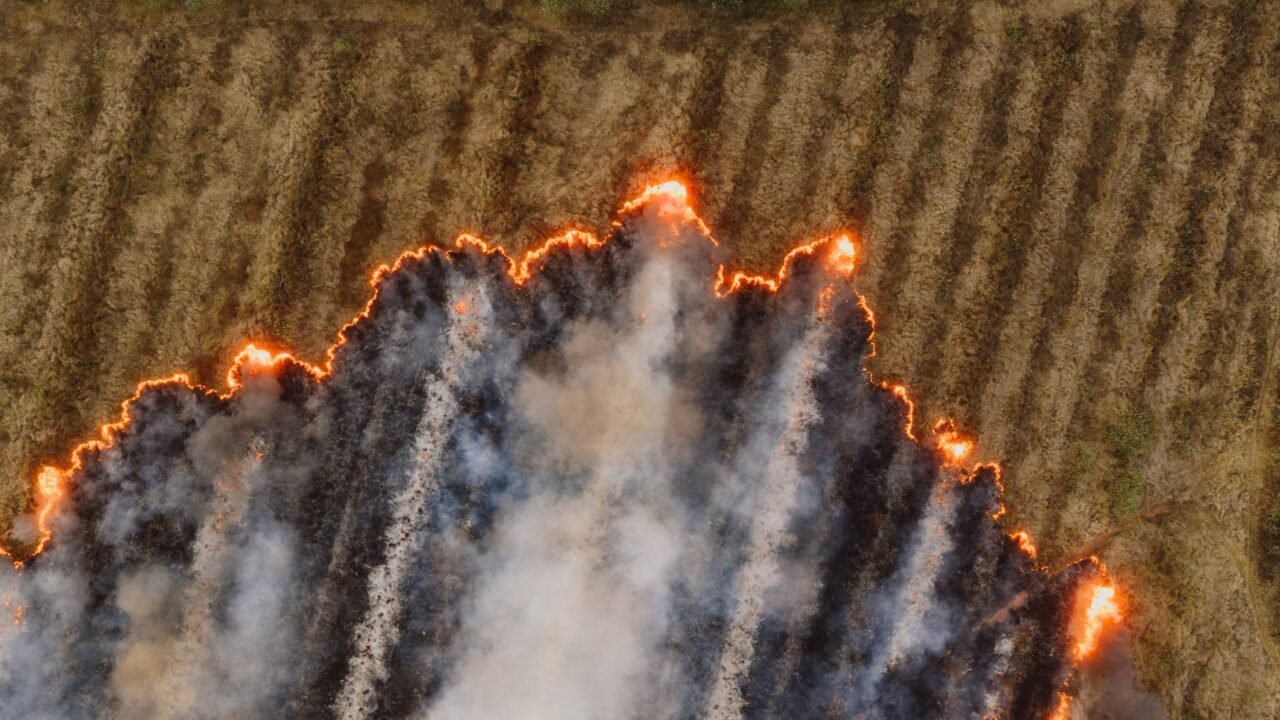 Suffolk Wildfire Erupts Near UK Nuclear Power Station