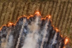 Wildfire in Suffolk, UK, Breaks Out a Few Miles From Nuclear Power Station