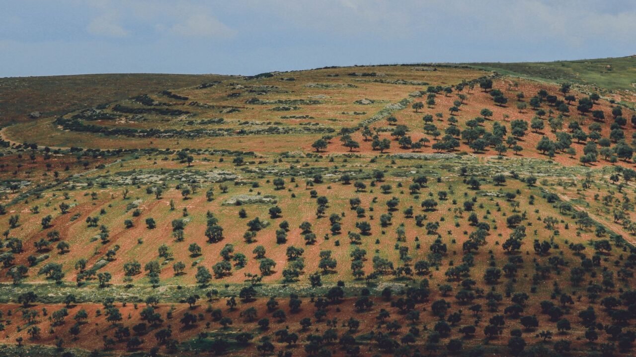 Syrian Druse Province Sweida Braces for Government Control