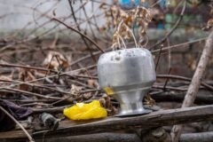 Ambassador, Kashmiri tonga, tractor and more: Srinagar gets its first ‘Waste to Wonder’ garden