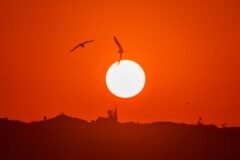 Another Day of Extreme Heat Bakes Europe, but Relief Is on the Horizon