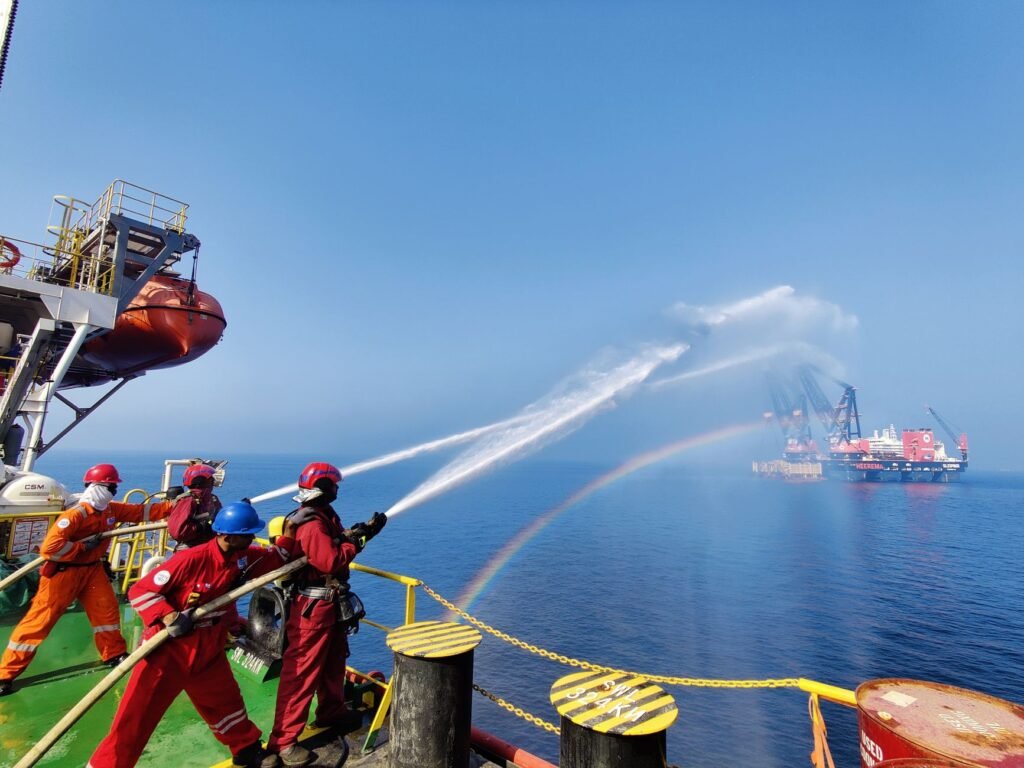 Arabian Sea Bird and Turtle Habitat Threatened by Oil From Grounded Tanker