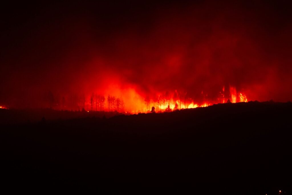 As Europe Faces Heat Waves and Wildfires, Travelers Are Forced to Adapt
