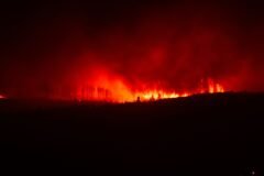 As Europe Faces Heat Waves and Wildfires, Travelers Are Forced to Adapt