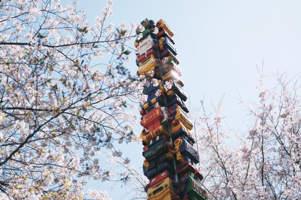 Can Robots Save Japan’s Aging Cherry Blossom Farmers?