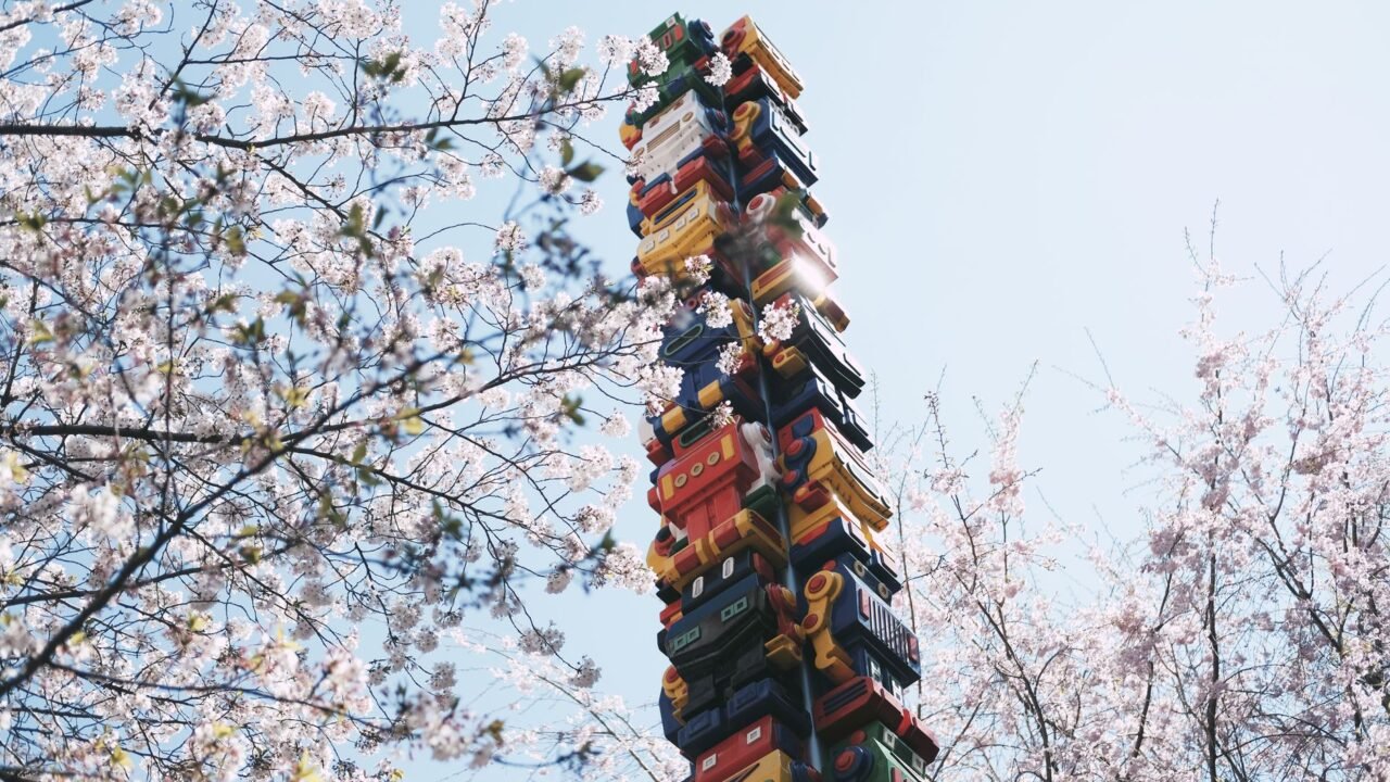 Robots Tackle Japan’s Aging Cherry Blossom Farms Amidst Bear Threats