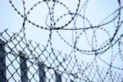 Europe’s Far Right, Once Marginal, Now Sets Tone on Spain Migrant Crisis
