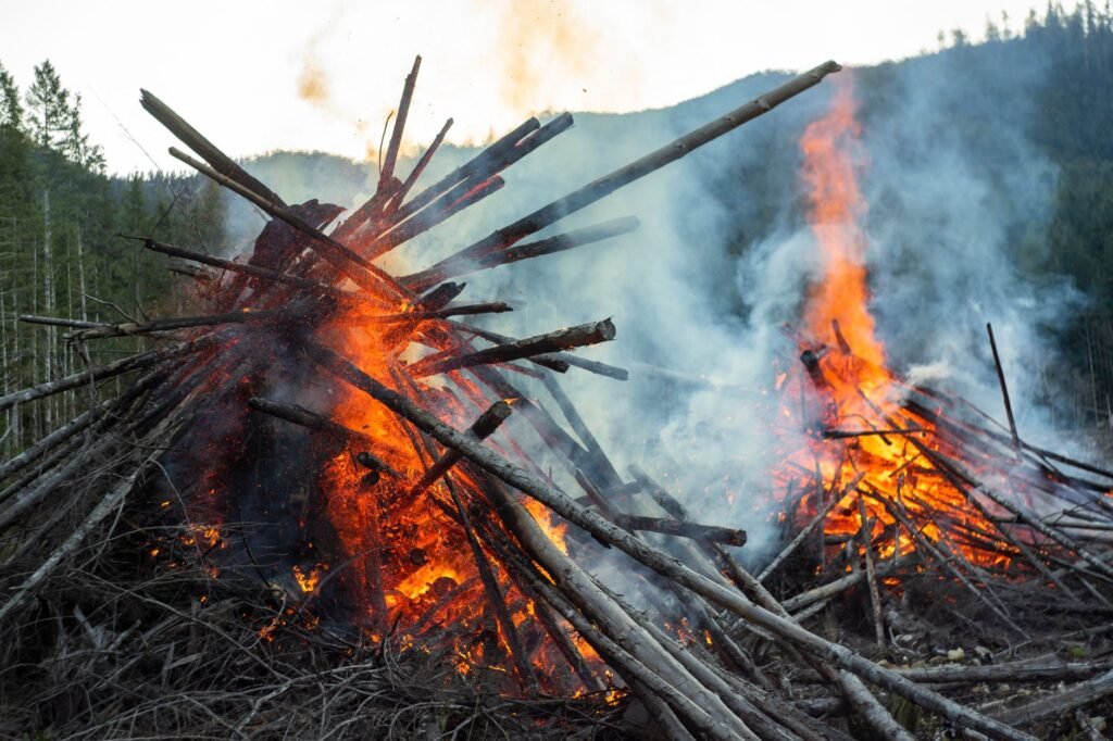 Explosive Wildfire in British Columbia Leaves 1 Dead