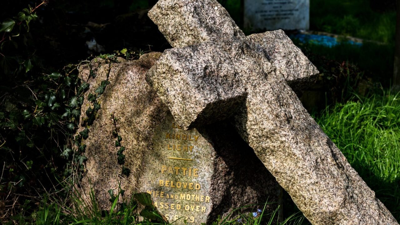 Harry Potter Fans Rally to Protect Dobby’s Grave from Power Cable Project