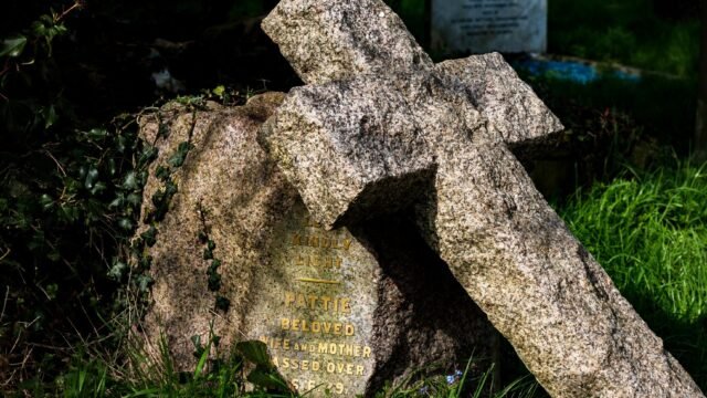 How ‘Harry Potter’ Fans Protected Dobby’s Grave From the Path of a U.K.-Ireland Power Cable