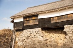 How Japan Minimized Deaths from a Major Earthquake