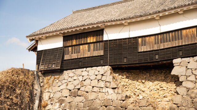 How Japan Minimized Deaths from a Major Earthquake