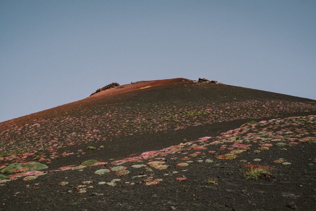 Hundreds of Flights Canceled in Sicily as Mount Etna Erupts