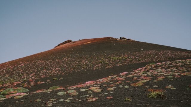 Hundreds of Flights Canceled in Sicily as Mount Etna Erupts
