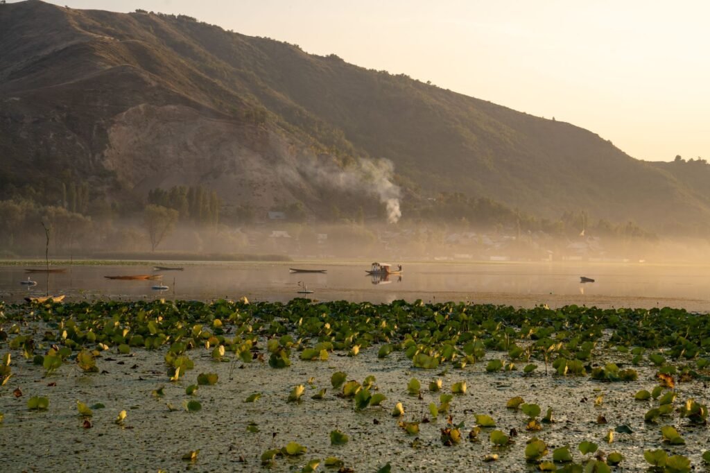 J&K’s Manasbal lake critically polluted; drinking water source fouled by faecal matter: CPCB