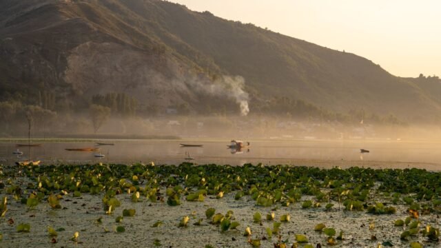 J&K’s Manasbal lake critically polluted; drinking water source fouled by faecal matter: CPCB