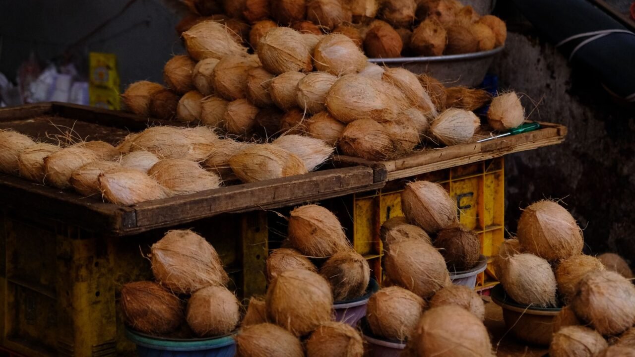 Jammu MC Deploys Coconut Shredder to Combat Drain Clogs and Boost Recycling