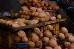 Jammu MC launches coconut shredding unit to tackle drain choking, promote waste recycling