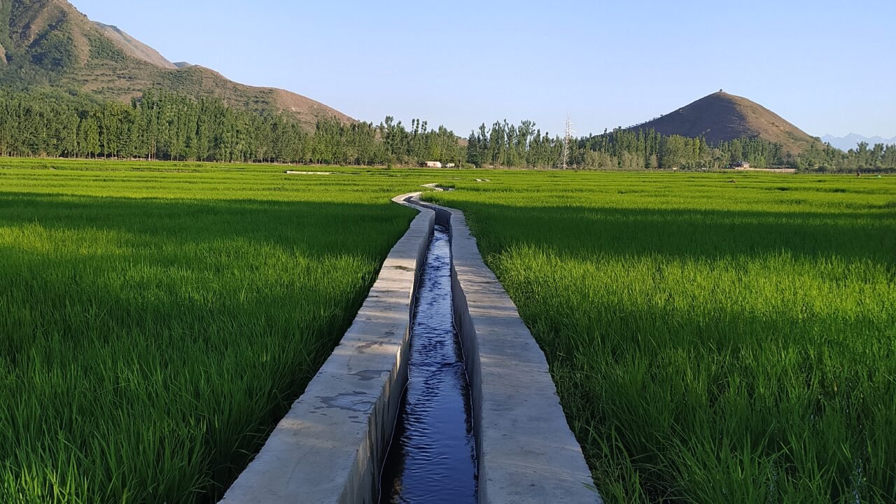 J&K Agriculture Minister Seeks Tailored Research for Unique Regional Needs