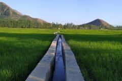 Javid Dar calls for J&K-specific agricultural research at ICAR meet