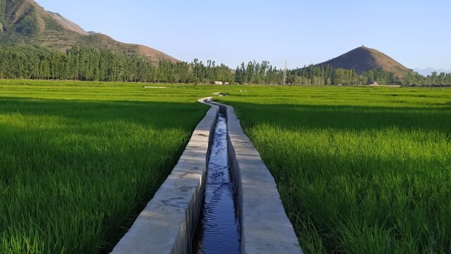 Javid Dar calls for J&K-specific agricultural research at ICAR meet