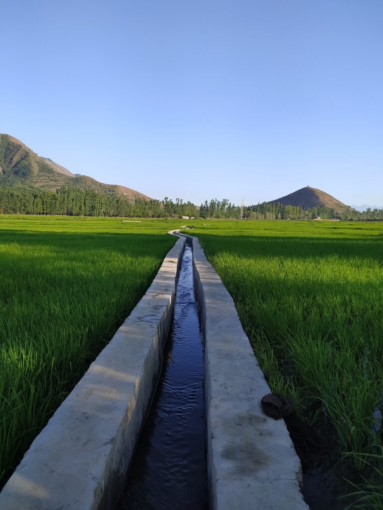 Javid Dar calls for J&K-specific agricultural research at ICAR meet