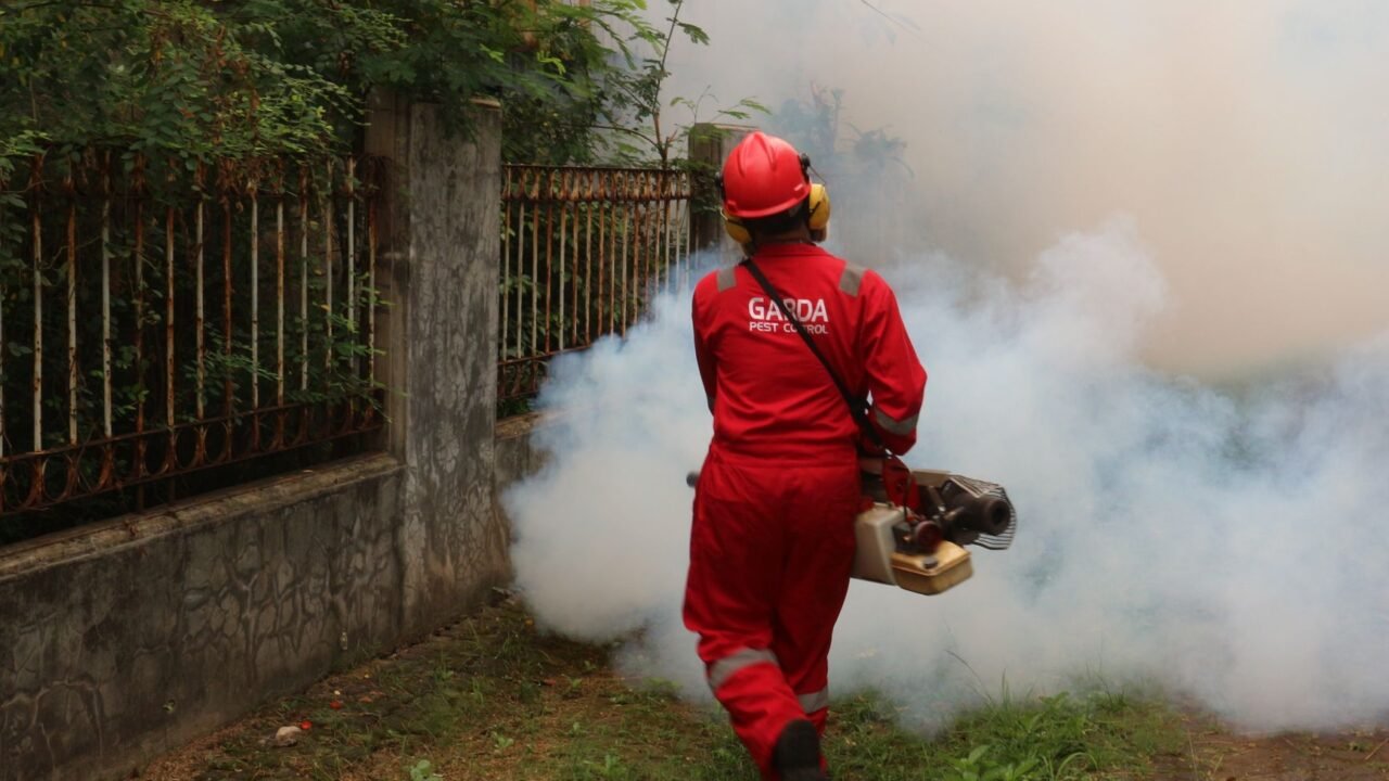 Jammu Launches Three-Month Mosquito Control Drive to Combat Disease