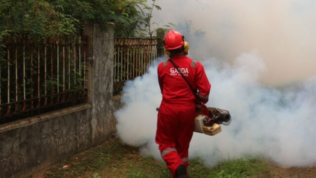 JMC begins 3-month mosquito control drive in Jammu