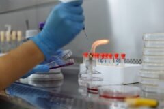 Kathua Biotech Park to drive innovation, jobs across North India: Jitendra Singh