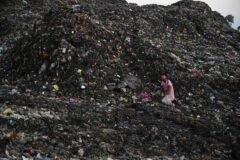 NGT seeks J&K’s response on waste dumping in Pulwama